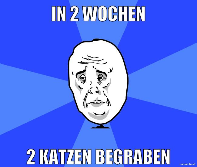 in 2 wochen 2 katzen begraben