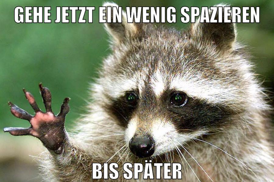 gehe jetzt ein wenig spazieren bis später