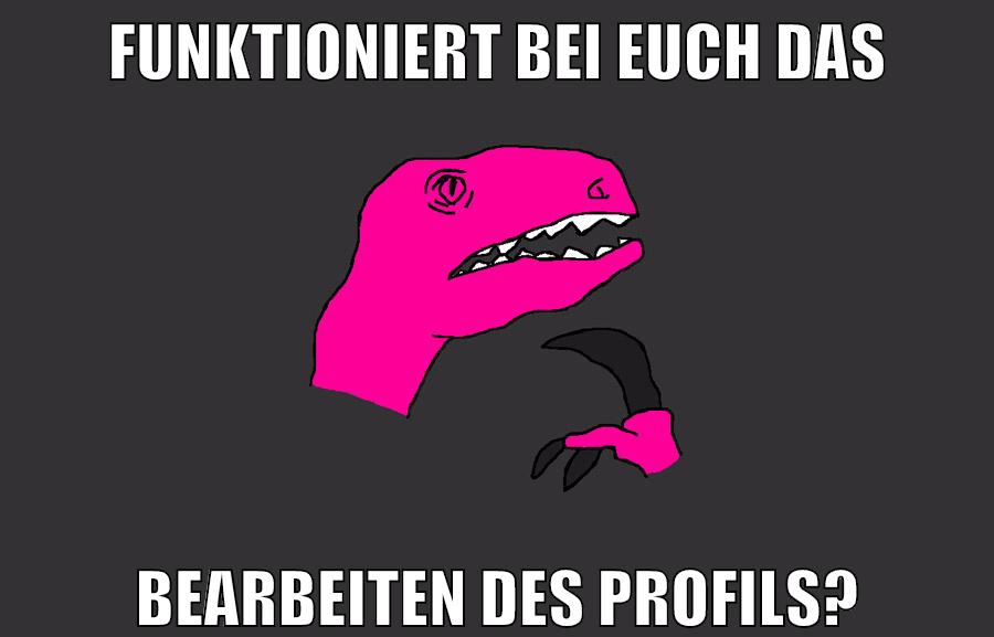Funktioniert bei euch das Bearbeiten des Profils?