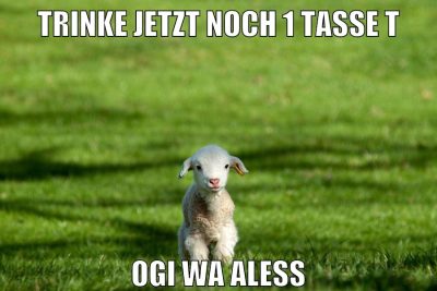 trinke jetzt noch 1 tasse t ogi wa aleSS