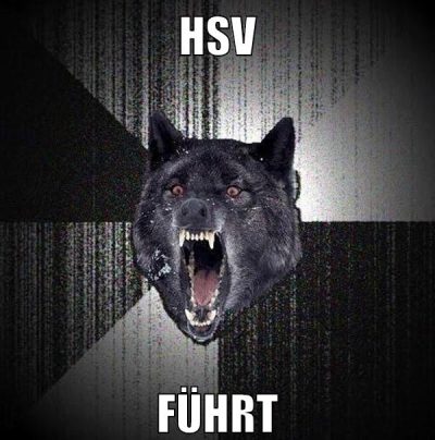 hsv führt