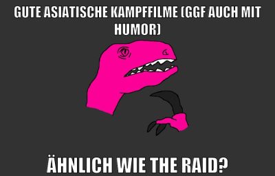 gute asiatische kampffilme (ggf auch mit humor) ähnlich wie the raid?