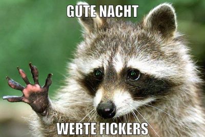 gute nacht werte fickers