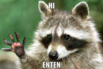 hi enten