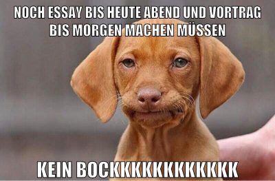 noch essay bis heute abend und vortrag bis morgen machen müssen kein bockkkkkkkkkkkk