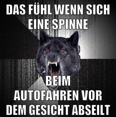 DAS FÜHL WENN SICH EINE SPINNE BEIM AUTOFAHREN VOR DEM GESICHT ABSEILT