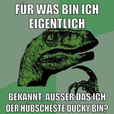 für was bin ich eigentlich bekannt, ausser das ich der hübscheste ducky bin?