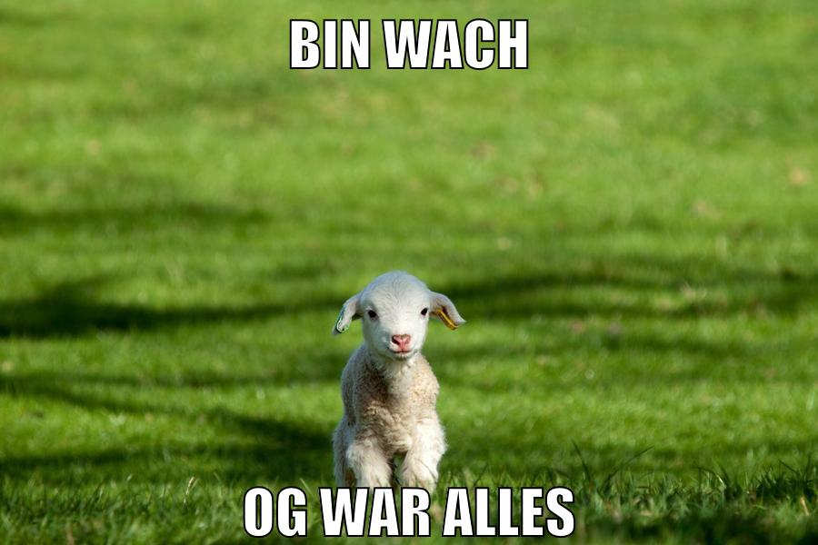 bin wach og war alles