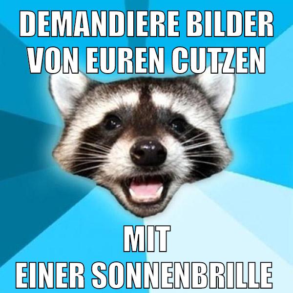 demandiere bilder von euren cutzen mit einer Sonnenbrille