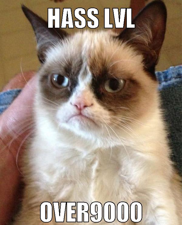 hass lvl over9000