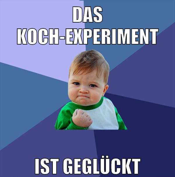 das koch-experiment ist geglückt
