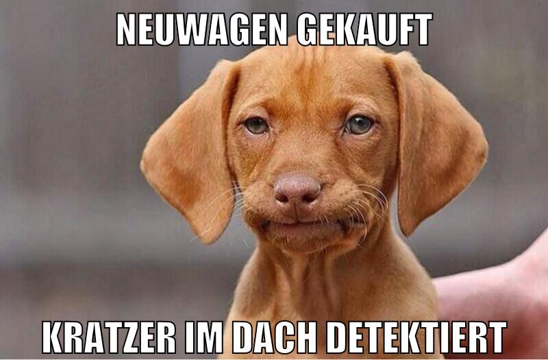wassollausdeutschlandwerden