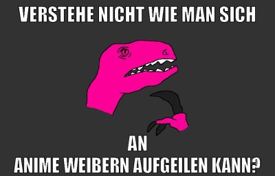 verstehe nicht wie man sich an anime weibern aufgeilen kann?