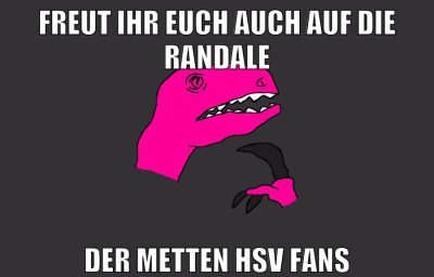 freut ihr euch auch auf die randale der metten hsv fans