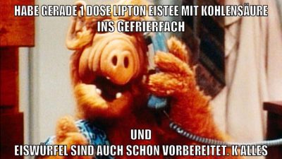 habe gerade 1 dose lipton eistee mit kohlensäure ins gefrierfach und eiswürfel sind auch schon vorbereitet. k alles