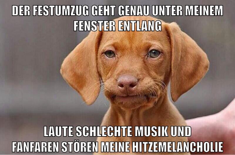 der festumzug geht genau unter meinem fenster entlang laute schlechte musik und fanfaren stören meine hitzemelancholie