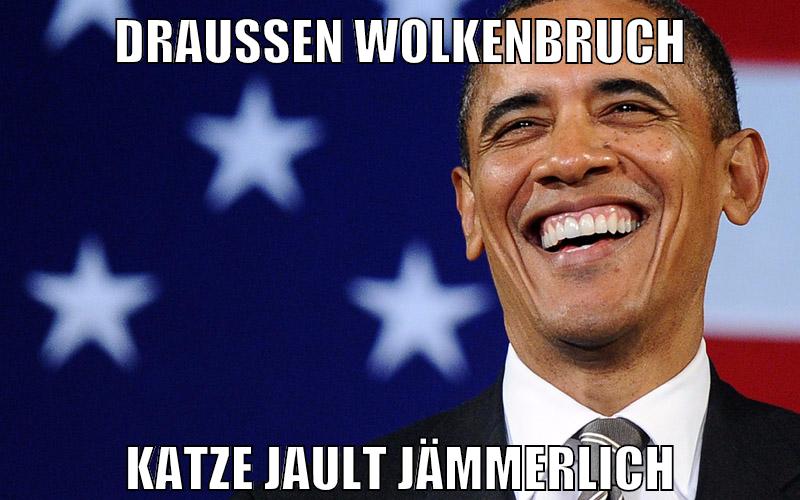 Draußen Wolkenbruch Katze jault jämmerlich