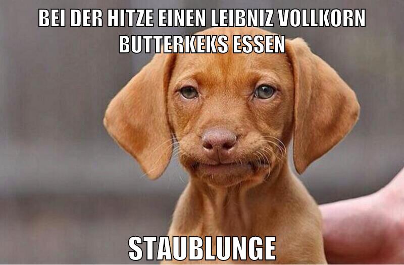 bei der hitze einen leibniz vollkorn butterkeks essen staublunge