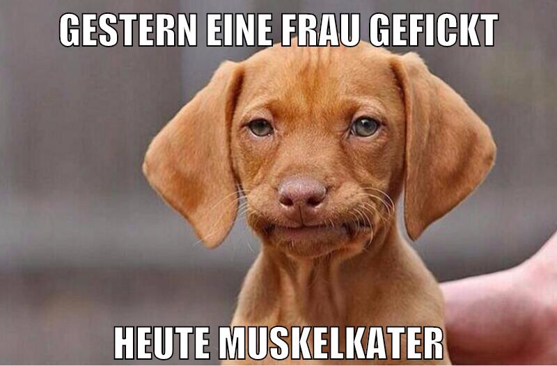 gestern eine frau gefickt HEUTE MUSKELKATER