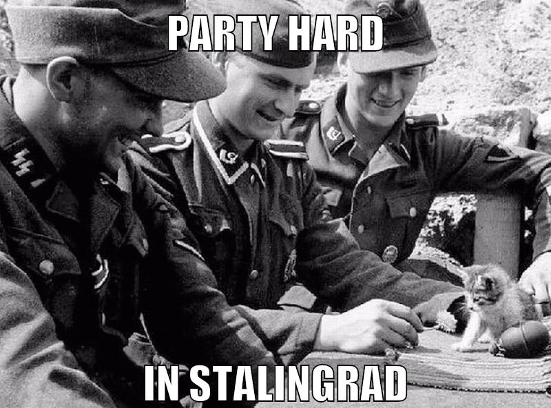 party hard in stalingrad