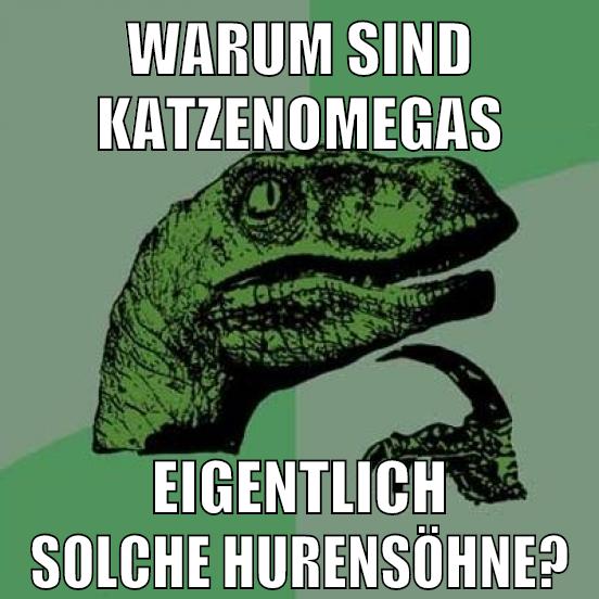warum sind katzenomegas eigentlich solche hurensöhne?