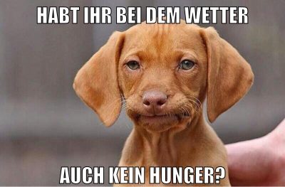 Habt ihr bei dem Wetter Auch kein Hunger?