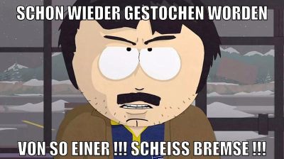 schon wieder gestochen worden von so einer !!! scheiß bremse !!!