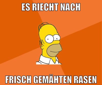 es riecht nach frisch gemähten rasen