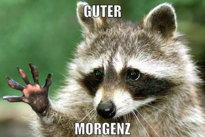 Guter Morgenz