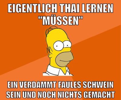 eigentlich thai lernen "müssen" ein verdammt faules schwein sein und noch nichts gemacht