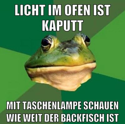 Licht im Ofen ist kaputt Mit taschenlampe schauen wie weit der backfisch ist