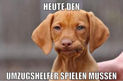 heute den umzugshelfer spielen müssen