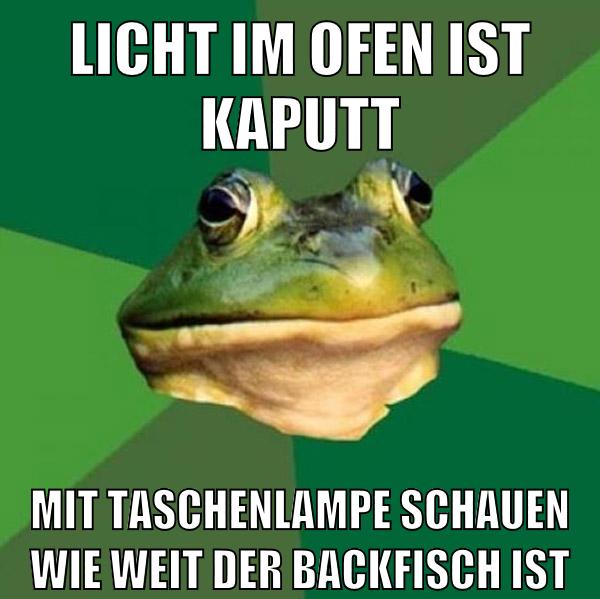 Licht im Ofen ist kaputt Mit taschenlampe schauen wie weit der backfisch ist
