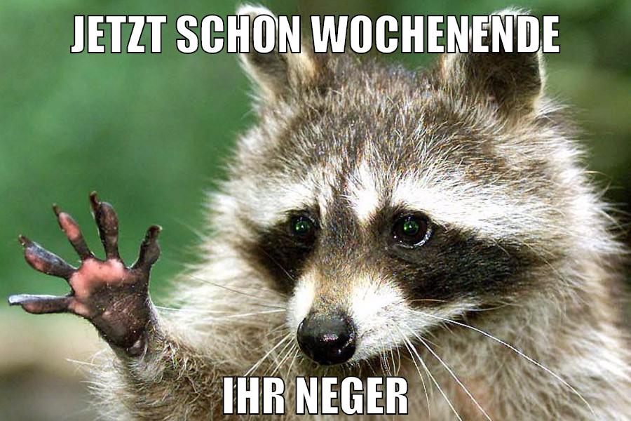 jetzt schon Wochenende ihr neger