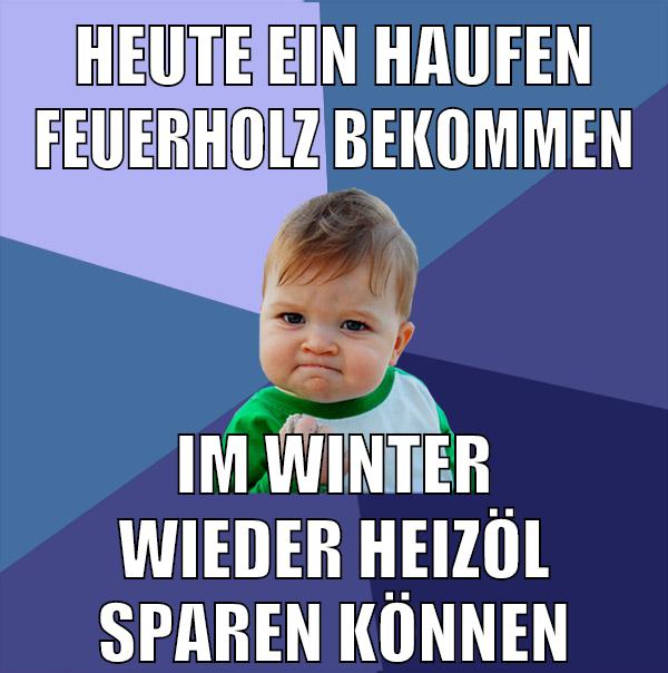 heute ein haufen feuerholz bekommen im winter wieder heizöl sparen können