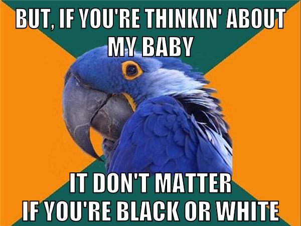 But, If You're Thinkin' About My Baby It Don't Matter If You're Black Or White