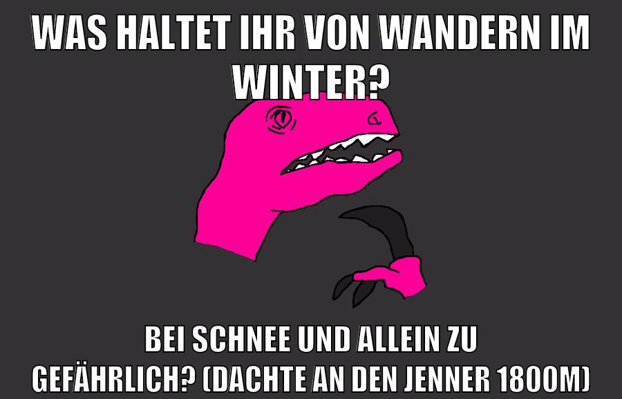 was haltet ihr von wandern im winter? bei schnee und allein zu gefährlich? (dachte an den jenner 1800m)