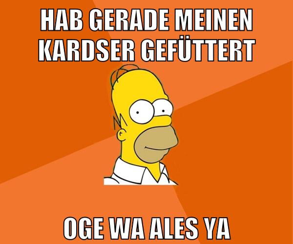 hab gerade meinen kardser gefüttert oge wa ales ya