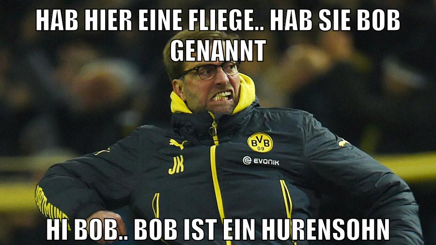 Hab hier eine Fliege.. hab sie bob genannt Hi bob.. BOB IST EIN HURENSOHN