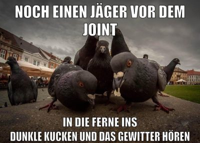 noch einen jäger vor dem joint in die ferne ins dunkle kucken und das gewitter hören