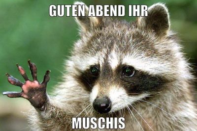 guten abend ihr muschis