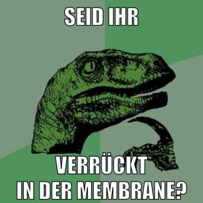 SEID IHR VERRÜCKT IN DER MEMBRANE?