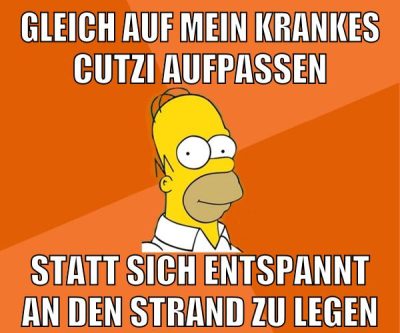 gleich auf mein krankes cutzi aufpassen statt sich entspannt an den strand zu legen