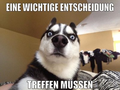 eine wichtige entscheidung treffen müssen