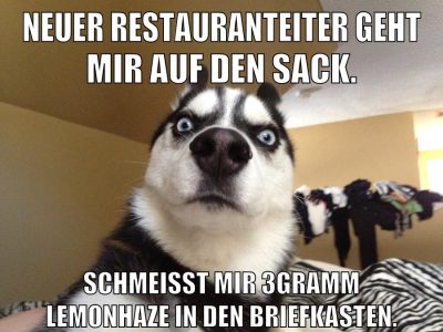 neuer restauranteiter geht mir auf den sack. schmeisst mir 3gramm lemonhaze in den briefkasten.