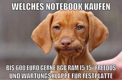 welches notebook kaufen bis 600 euro gerne 8gb ram i5 15" freedos und wartungsklappe für festplatte