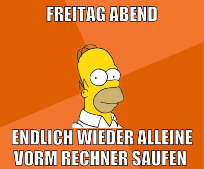 freitag abend endlich wieder alleine vorm rechner saufen