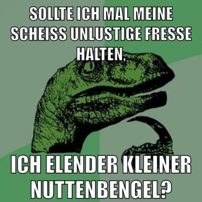 sollte ich mal meine scheiß unlustige fresse halten, ich elender kleiner nuttenbengel?