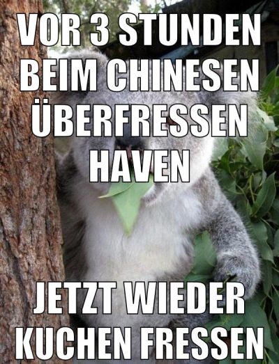 vor 3 stunden beim chinesen überfressen haven jetzt wieder kuchen fressen