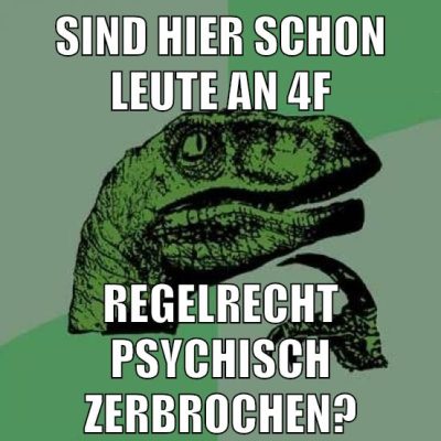 SIND HIER SCHON LEUTE AN 4F REGELRECHT PSYCHISCH ZERBROCHEN?